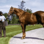 Man o’ War: The First American Superstar