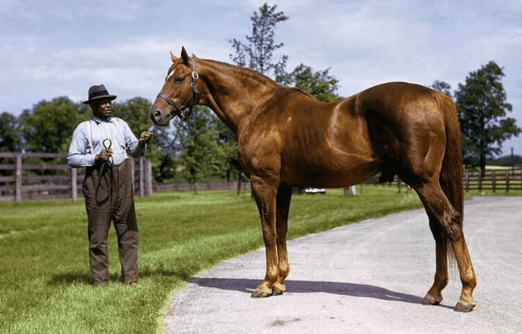 Man o’ War: The First American Superstar